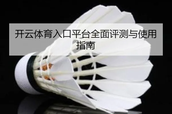开云体育入口平台全面评测与使用指南