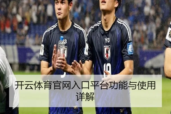 开云体育官网入口平台功能与使用详解
