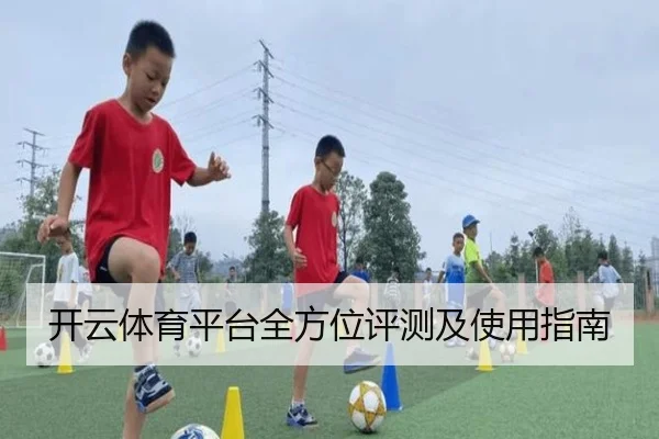 开云体育平台全方位评测及使用指南